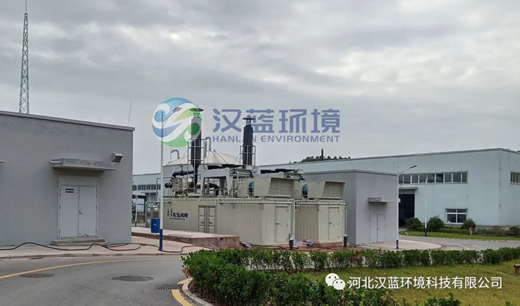 漢藍(lán)環(huán)境助力“井研大沼項目”脫硝設(shè)備順利驗收！