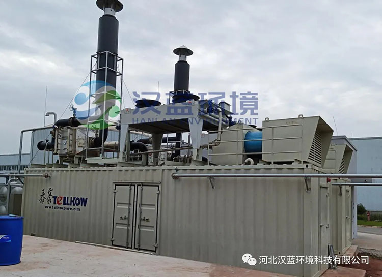 漢藍(lán)環(huán)境助力“井研大沼項目”脫硝設(shè)備順利驗收！