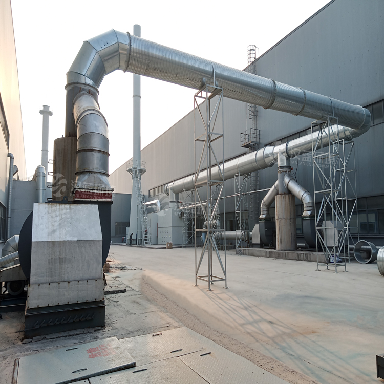 河北漢藍噴漆廢氣處理設備-VOCs治理-沸石轉(zhuǎn)輪+CO爐 河北漢藍噴漆廢氣處理設備-VOCs治理-沸石轉(zhuǎn)輪+CO爐