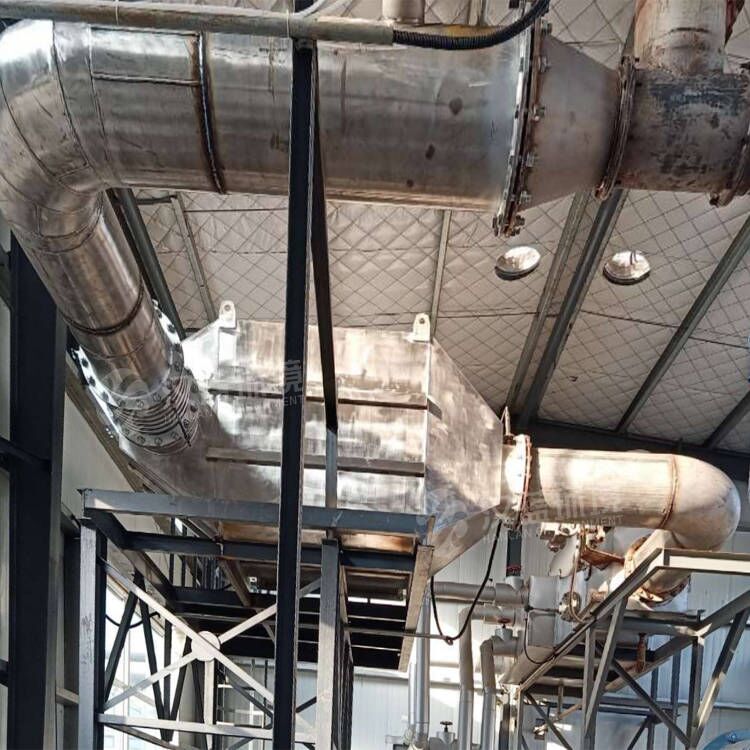 萬純SCR脫硝系統(tǒng)在某縣生物天然氣開發(fā)利用PPP項目中成功驗收