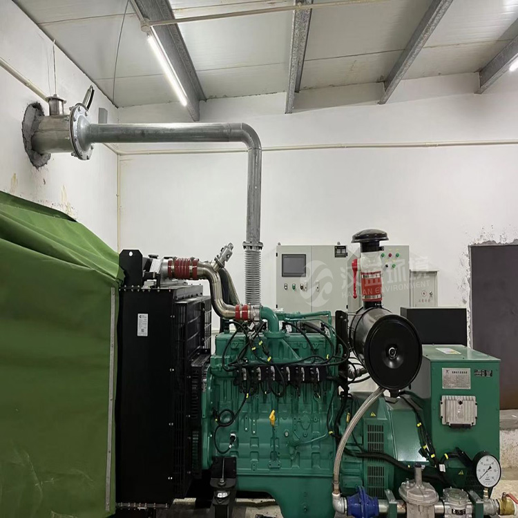 萬純SCR脫硝系統(tǒng)-糞肥沼氣發(fā)電機(jī)組脫硝