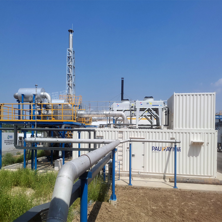 萬(wàn)純SCR脫硝項(xiàng)目-餐廚垃圾沼氣發(fā)電機(jī)組脫硝