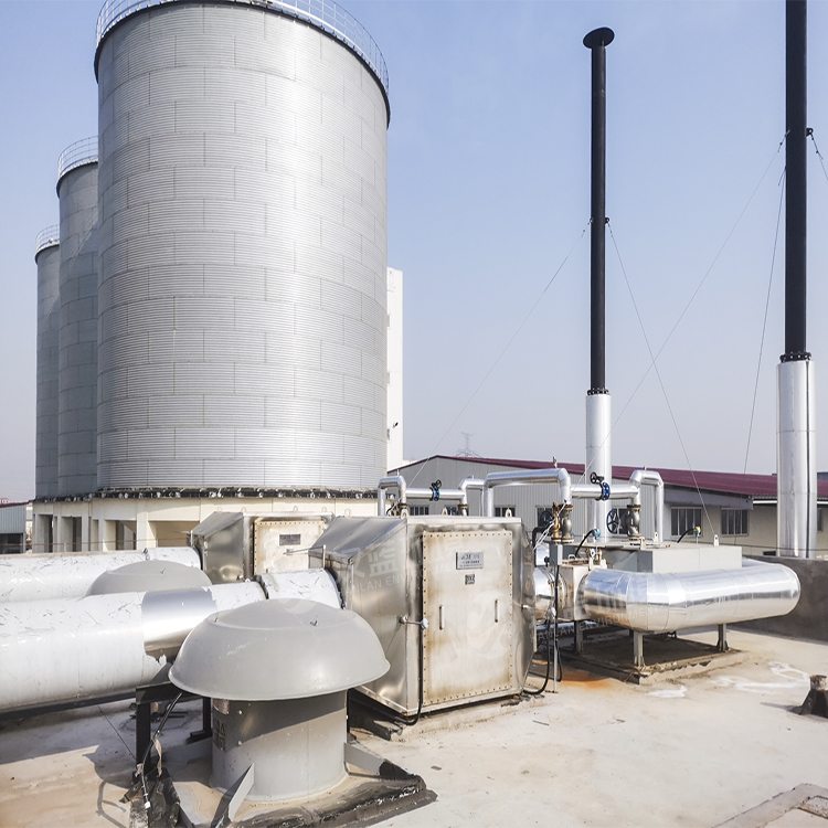 萬純SCR脫硝系統(tǒng)-糞肥沼氣發(fā)電機(jī)組脫硝