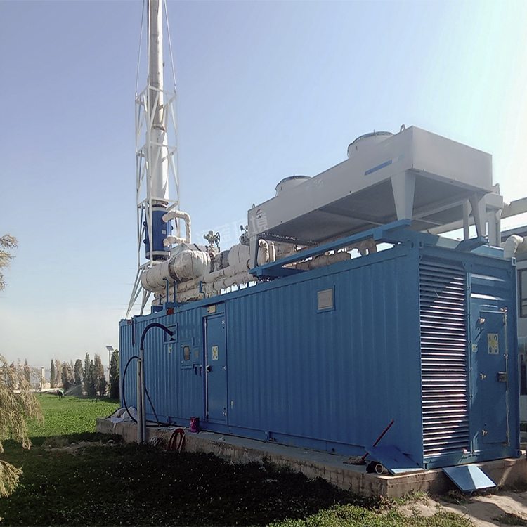 萬(wàn)純SCR脫硝系統(tǒng)-沼氣發(fā)電機(jī)組脫硝