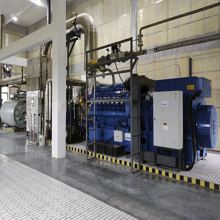 萬純SCR脫硝設(shè)備-餐廚垃圾沼氣發(fā)電機(jī)組脫硝